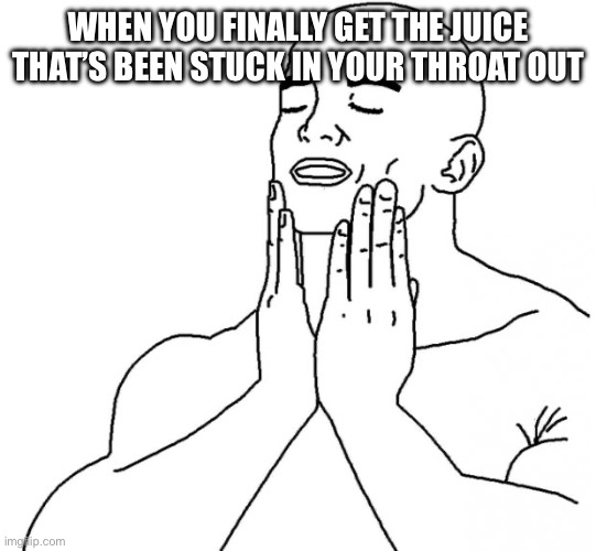 The best | WHEN YOU FINALLY GET THE JUICE THAT’S BEEN STUCK IN YOUR THROAT OUT | image tagged in feels good man | made w/ Imgflip meme maker