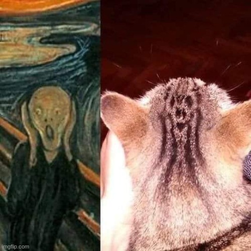 Do you see it? | image tagged in animals,cats,cute,cat,art | made w/ Imgflip meme maker