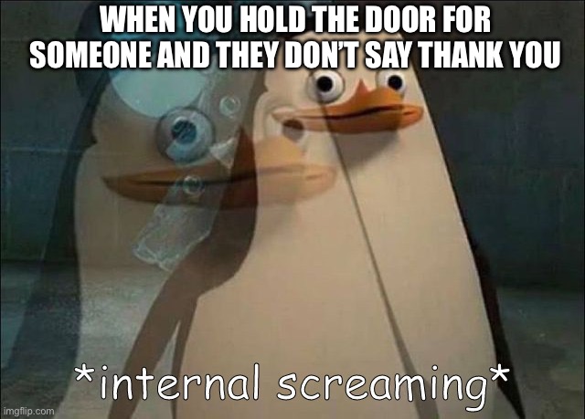 When You Hold The Door And The Person Doesn’t Thank You | WHEN YOU HOLD THE DOOR FOR SOMEONE AND THEY DON’T SAY THANK YOU | image tagged in private internal screaming,hold the door,thank you,ignore,annoying | made w/ Imgflip meme maker