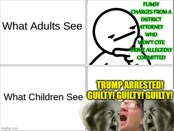 "Guilty until proven guilty" | FLIMSY CHARGES FROM A
DISTRICT ATTORNEY WHO WON'T CITE CRIME ALLEGEDLY COMMITTED; TRUMP ARRESTED! GUILTY! GUILTY! GUILTY! | image tagged in what adults see what children see | made w/ Imgflip meme maker