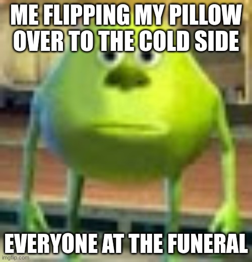 Wa huh | ME FLIPPING MY PILLOW OVER TO THE COLD SIDE; EVERYONE AT THE FUNERAL | image tagged in sully wazowski | made w/ Imgflip meme maker