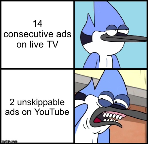 We are getting less used to it... | 14 consecutive ads on live TV; 2 unskippable ads on YouTube | image tagged in mordecai disgusted | made w/ Imgflip meme maker