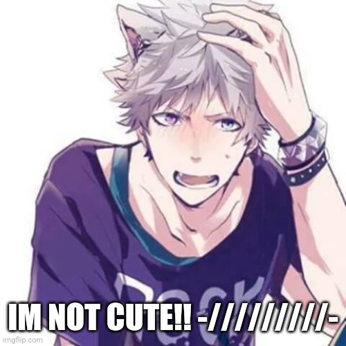 You start making fun of him -///- | IM NOT CUTE!! -/////////- | image tagged in roleplaying | made w/ Imgflip meme maker