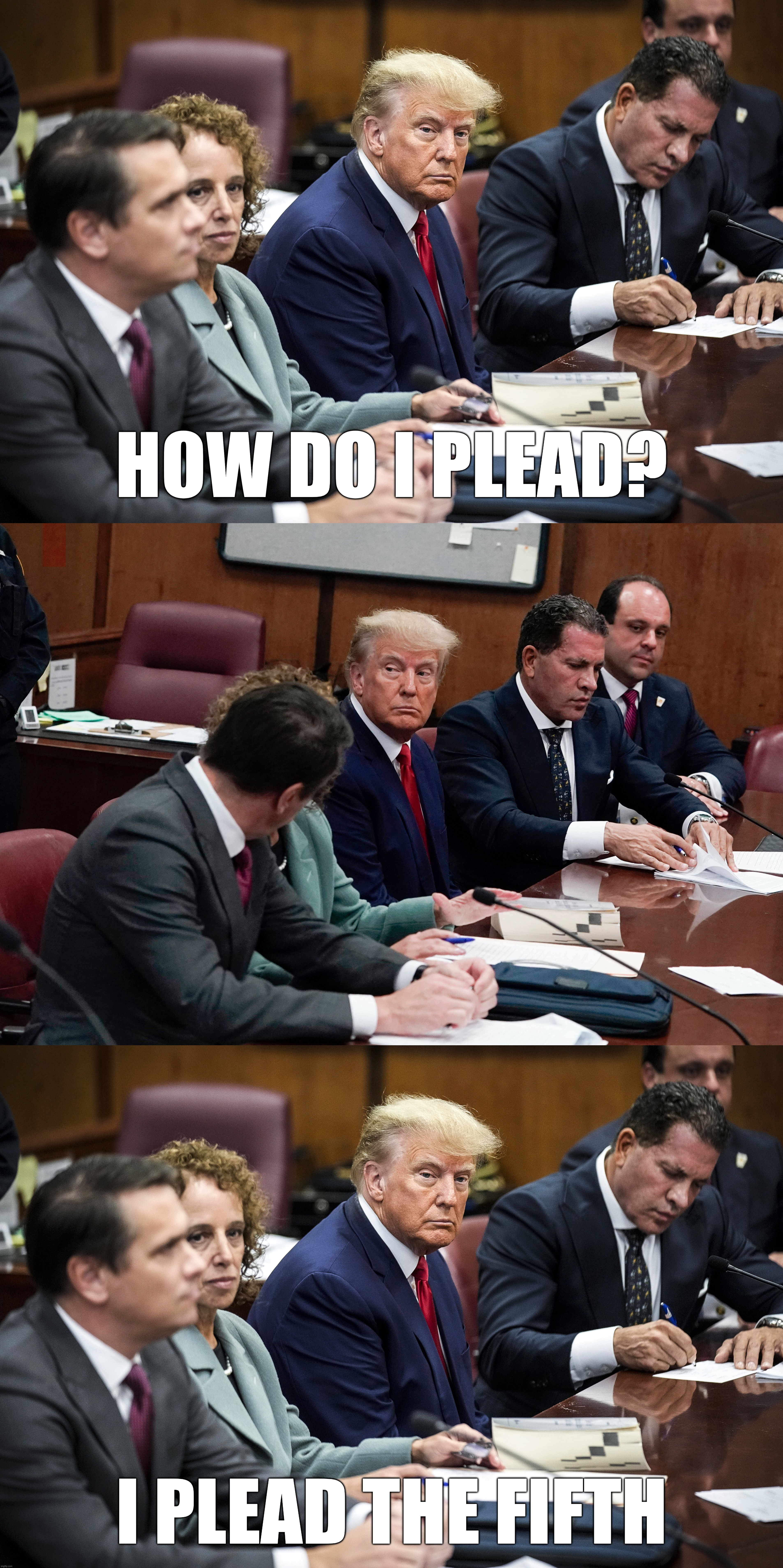 i plead pathetically... | HOW DO I PLEAD? I PLEAD THE FIFTH | image tagged in guilty,af,plead the 5th,mob,boss,lock him up | made w/ Imgflip meme maker