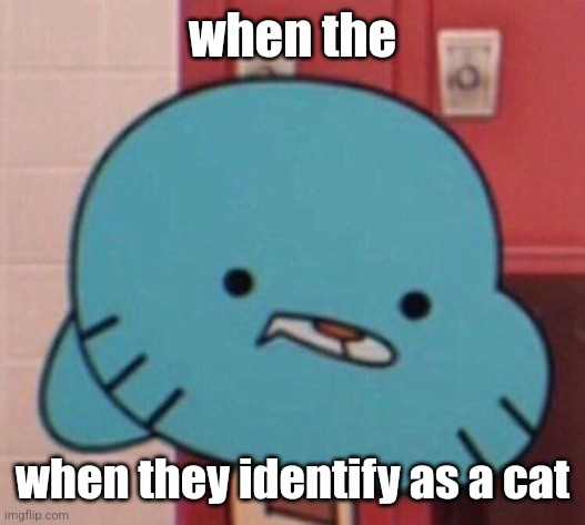 me when (blank) | when the when they identify as a cat | image tagged in me when blank | made w/ Imgflip meme maker