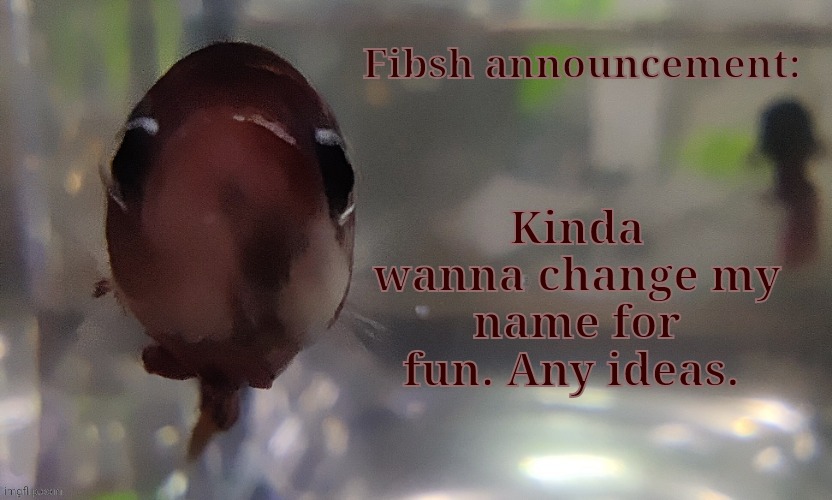 Fibsh | Kinda wanna change my name for fun. Any ideas. | image tagged in fibsh | made w/ Imgflip meme maker