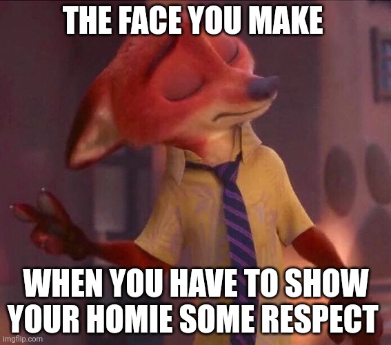 Respect Your Fox | THE FACE YOU MAKE; WHEN YOU HAVE TO SHOW YOUR HOMIE SOME RESPECT | image tagged in nick wilde peace out,zootopia,nick wilde,the face you make when,respect,funny | made w/ Imgflip meme maker
