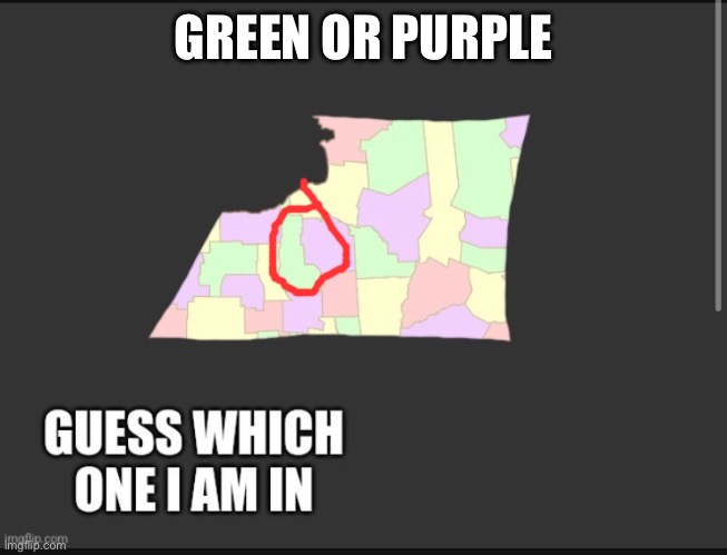 GREEN OR PURPLE | made w/ Imgflip meme maker