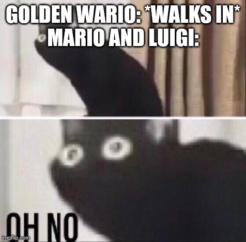 Oh no cat | GOLDEN WARIO: *WALKS IN*
MARIO AND LUIGI: | image tagged in oh no cat | made w/ Imgflip meme maker