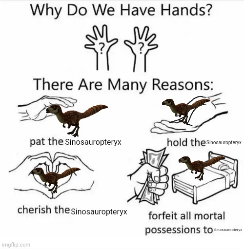 Why do we have hands? (all blank) | Sinosauropteryx; Sinosauropteryx; Sinosauropteryx; Sinosauropteryx | image tagged in why do we have hands all blank | made w/ Imgflip meme maker