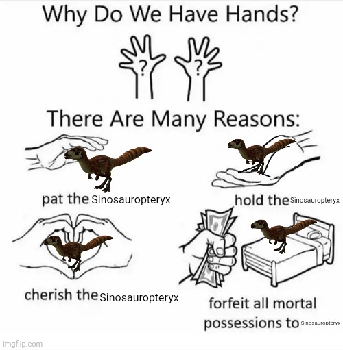 Why do we have hands? (all blank) | Sinosauropteryx; Sinosauropteryx; Sinosauropteryx; Sinosauropteryx | image tagged in why do we have hands all blank,jurassic park,jurassic world,dinosaur | made w/ Imgflip meme maker