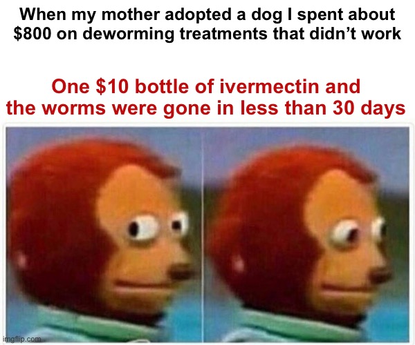 Monkey Puppet Meme | When my mother adopted a dog I spent about $800 on deworming treatments that didn’t work One $10 bottle of ivermectin and the worms were gon | image tagged in memes,monkey puppet | made w/ Imgflip meme maker
