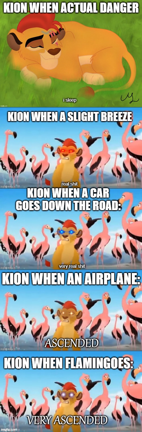 KION WHEN ACTUAL DANGER; i sleep; KION WHEN A SLIGHT BREEZE; real shit; KION WHEN A CAR GOES DOWN THE ROAD:; very real shit; KION WHEN AN AIRPLANE:; ASCENDED; KION WHEN FLAMINGOES:; VERY ASCENDED | image tagged in a mentally sick piece of garbage,garbage | made w/ Imgflip meme maker