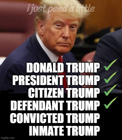 the list...! | i just peed a little; DONALD TRUMP
PRESIDENT TRUMP
CITIZEN TRUMP
DEFENDANT TRUMP
CONVICTED TRUMP
INMATE TRUMP | image tagged in pee,peeing,naughty list,to do list,bucket list,lock him up | made w/ Imgflip meme maker