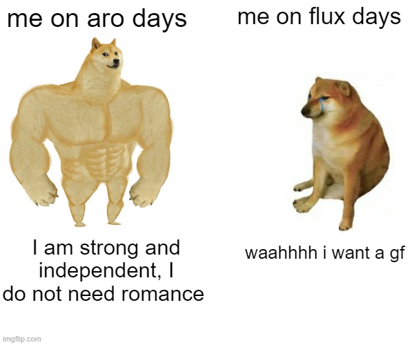 okay so i might be aroflux?? (I don't know anymore TvT) | me on aro days; me on flux days; I am strong and independent, I do not need romance; waahhhh i want a gf | image tagged in memes,buff doge vs cheems,aromantic,lgbtq | made w/ Imgflip meme maker