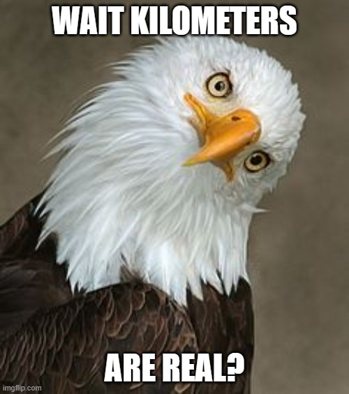 idc | WAIT KILOMETERS; ARE REAL? | image tagged in bald eagle tilt | made w/ Imgflip meme maker