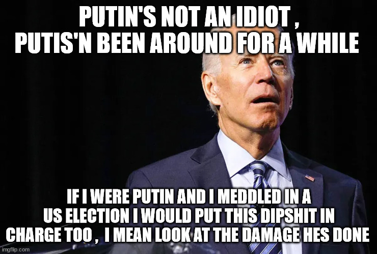 PUTIN'S NOT AN IDIOT , PUTIS'N BEEN AROUND FOR A WHILE; IF I WERE PUTIN AND I MEDDLED IN A US ELECTION I WOULD PUT THIS DIPSHIT IN CHARGE TOO ,  I MEAN LOOK AT THE DAMAGE HES DONE | made w/ Imgflip meme maker