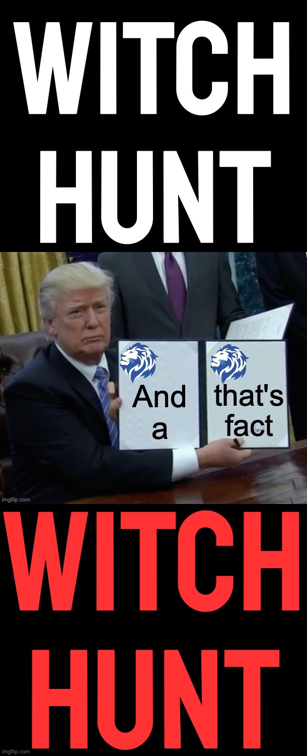 Conservative Party of Imgflip And That's a Fact Trump Edition | WITCH HUNT; WITCH HUNT | image tagged in conservative party of imgflip and that's a fact trump edition | made w/ Imgflip meme maker