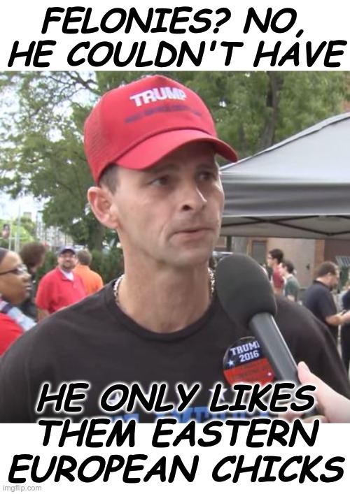 Trump supporter | FELONIES? NO, HE COULDN'T HAVE HE ONLY LIKES THEM EASTERN EUROPEAN CHICKS | image tagged in trump supporter | made w/ Imgflip meme maker