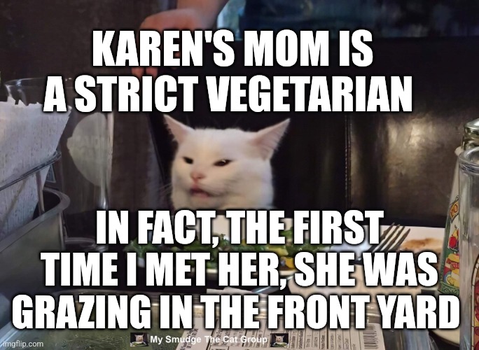 KAREN'S MOM IS A STRICT VEGETARIAN; IN FACT, THE FIRST TIME I MET HER, SHE WAS GRAZING IN THE FRONT YARD | image tagged in smudge the cat | made w/ Imgflip meme maker