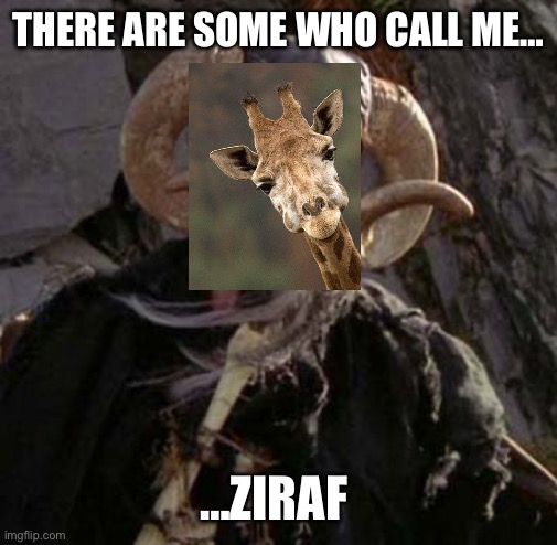 Tim the Enchanter - Monty Python | THERE ARE SOME WHO CALL ME… …ZIRAF | image tagged in tim the enchanter - monty python | made w/ Imgflip meme maker