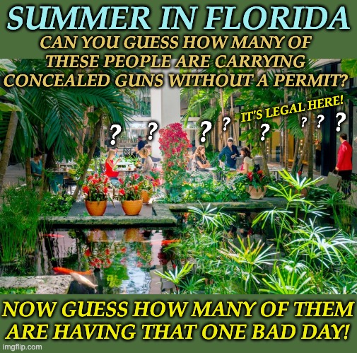 Probably not the carp, but everyone else is sus | SUMMER IN FLORIDA; CAN YOU GUESS HOW MANY OF THESE PEOPLE ARE CARRYING CONCEALED GUNS WITHOUT A PERMIT? IT'S LEGAL HERE! ? ? ? ? ? ? ? ? NOW GUESS HOW MANY OF THEM ARE HAVING THAT ONE BAD DAY! | image tagged in guns,florida,safety,one bad day | made w/ Imgflip meme maker
