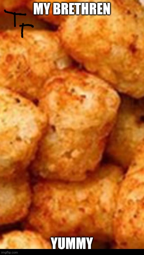 Tater tots | MY BRETHREN; YUMMY | image tagged in tater tots | made w/ Imgflip meme maker