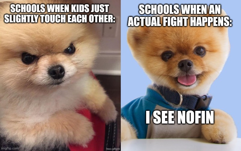 Mean Puff Nice Piff | SCHOOLS WHEN KIDS JUST SLIGHTLY TOUCH EACH OTHER:; SCHOOLS WHEN AN ACTUAL FIGHT HAPPENS:; I SEE NOFIN | image tagged in mean puff nice piff,unhelpful high school teacher | made w/ Imgflip meme maker