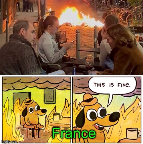 France | image tagged in memes,this is fine | made w/ Imgflip meme maker