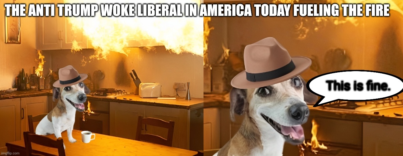 Fueling the fire | THE ANTI TRUMP WOKE LIBERAL IN AMERICA TODAY FUELING THE FIRE; This is fine. | image tagged in this is fine,woke,liberal logic,trumptard,economical collapse | made w/ Imgflip meme maker
