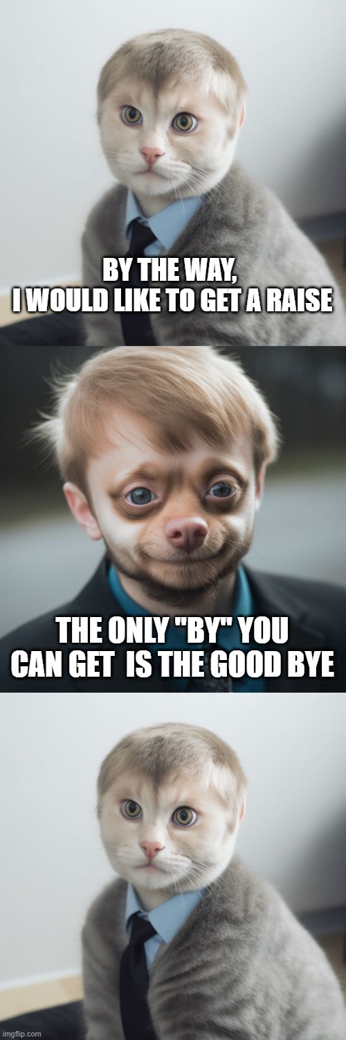 cat dog raise | BY THE WAY, 
I WOULD LIKE TO GET A RAISE; THE ONLY "BY" YOU CAN GET  IS THE GOOD BYE | image tagged in cat,dog,business,raise | made w/ Imgflip meme maker