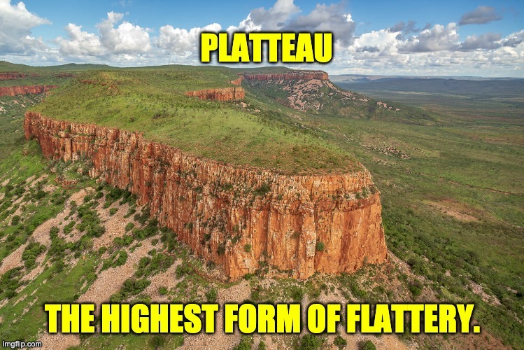 Platteau | image tagged in bad pun | made w/ Imgflip meme maker