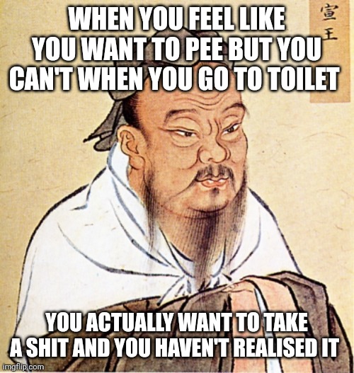 It's true tho | WHEN YOU FEEL LIKE YOU WANT TO PEE BUT YOU CAN'T WHEN YOU GO TO TOILET; YOU ACTUALLY WANT TO TAKE A SHIT AND YOU HAVEN'T REALISED IT | image tagged in confucius says | made w/ Imgflip meme maker