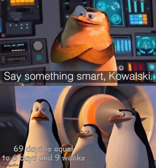 Smort | 69 days is equal to 6 days and 9 weeks | image tagged in say something smart kowalski,memes,fun,funny,69,fyp | made w/ Imgflip meme maker