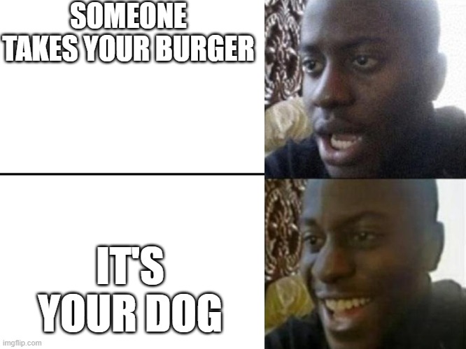 Reversed Disappointed Black Man | SOMEONE TAKES YOUR BURGER; IT'S YOUR DOG | image tagged in reversed disappointed black man | made w/ Imgflip meme maker