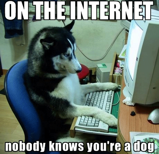 image tagged in funny,internet,dogs