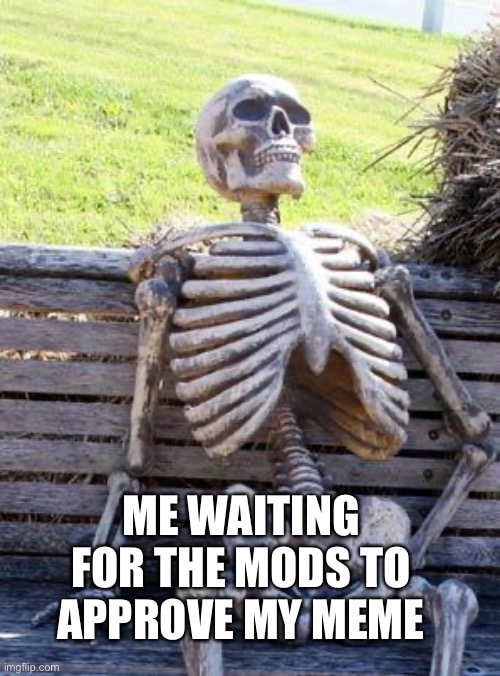 Mods: I am speed ………….… when I want to be | ME WAITING FOR THE MODS TO APPROVE MY MEME | image tagged in memes,waiting skeleton | made w/ Imgflip meme maker