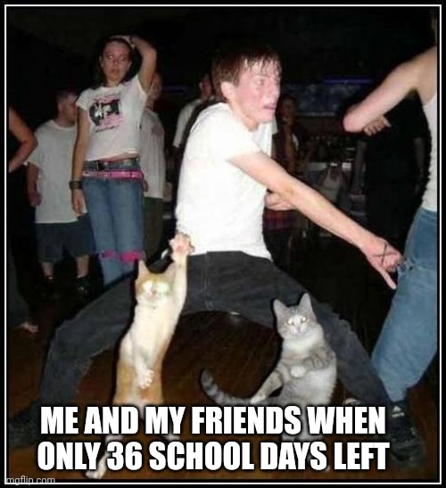 dancin'cats | ME AND MY FRIENDS WHEN ONLY 36 SCHOOL DAYS LEFT | image tagged in dancin'cats | made w/ Imgflip meme maker