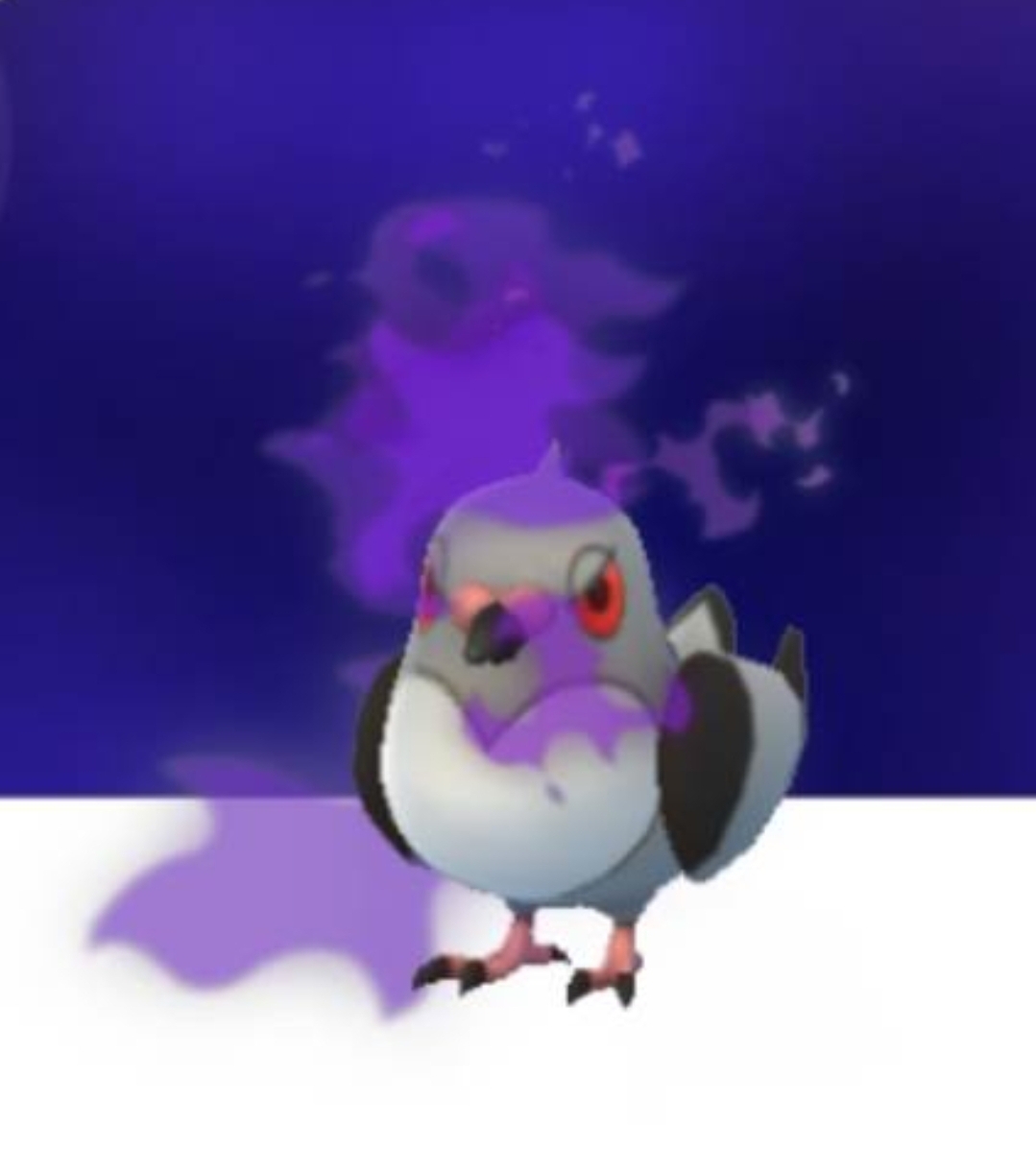 High Quality Pidove is disgusted Blank Meme Template