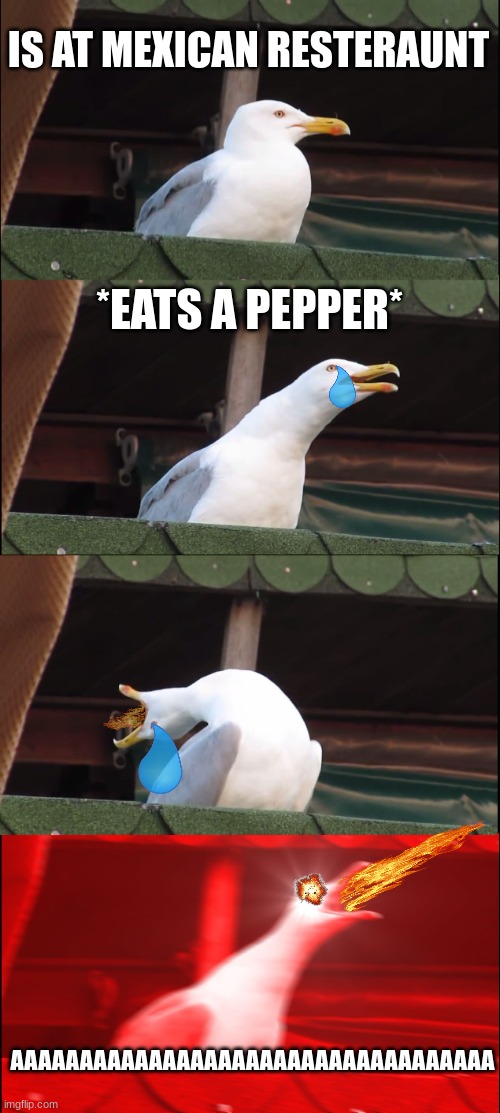 .... | IS AT MEXICAN RESTERAUNT; *EATS A PEPPER*; AAAAAAAAAAAAAAAAAAAAAAAAAAAAAAAAAAA | image tagged in memes,inhaling seagull | made w/ Imgflip meme maker