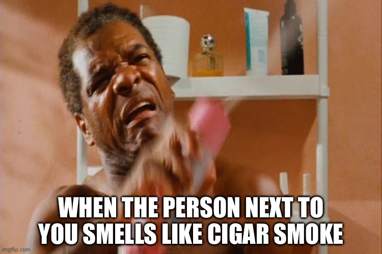 Person Next To You Smells | WHEN THE PERSON NEXT TO YOU SMELLS LIKE CIGAR SMOKE | image tagged in friday bathroom,cigar,smelly,smoke,gross | made w/ Imgflip meme maker