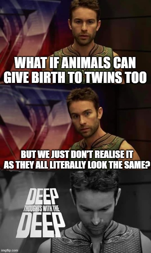 i guess they could | WHAT IF ANIMALS CAN GIVE BIRTH TO TWINS TOO; BUT WE JUST DON'T REALISE IT AS THEY ALL LITERALLY LOOK THE SAME? | image tagged in deep thoughts with the deep | made w/ Imgflip meme maker