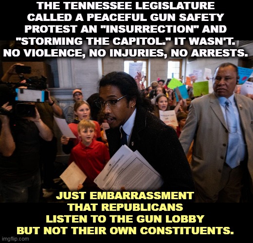 The Tennessee legislature is about to expel pro-gun safety representatives. Killing kids is OK in Tennessee. | THE TENNESSEE LEGISLATURE CALLED A PEACEFUL GUN SAFETY PROTEST AN "INSURRECTION" AND "STORMING THE CAPITOL." IT WASN'T. NO VIOLENCE, NO INJURIES, NO ARRESTS. JUST EMBARRASSMENT 
THAT REPUBLICANS 
LISTEN TO THE GUN LOBBY 
BUT NOT THEIR OWN CONSTITUENTS. | image tagged in tennessee,republican,liars,second amendment,idiots | made w/ Imgflip meme maker