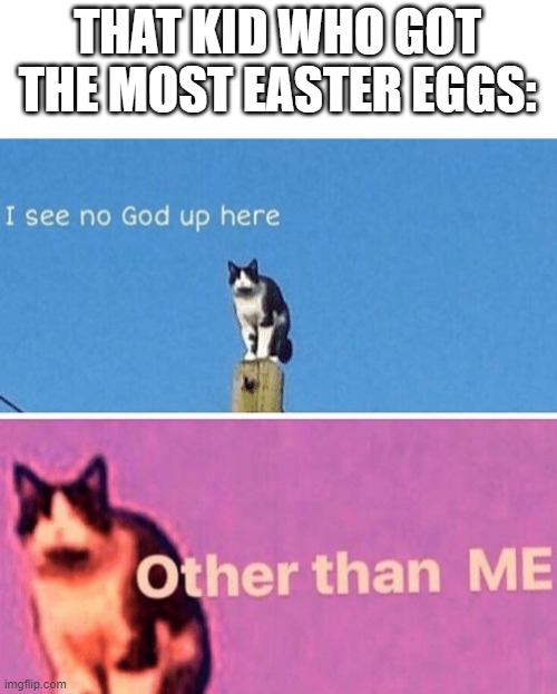 happy easter everyone! | THAT KID WHO GOT THE MOST EASTER EGGS: | image tagged in hail pole cat | made w/ Imgflip meme maker