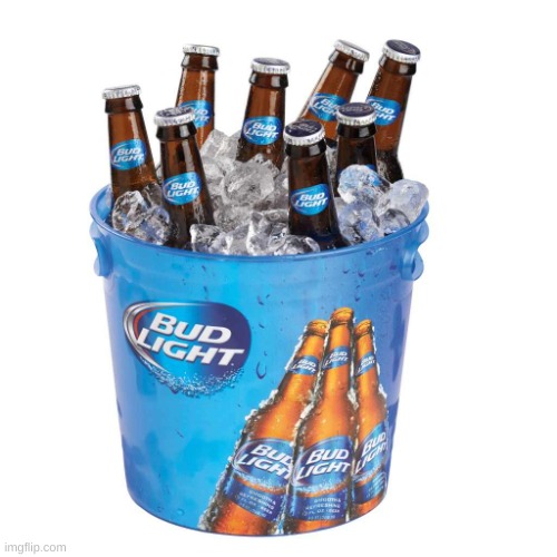 Budlight | image tagged in budlight | made w/ Imgflip meme maker