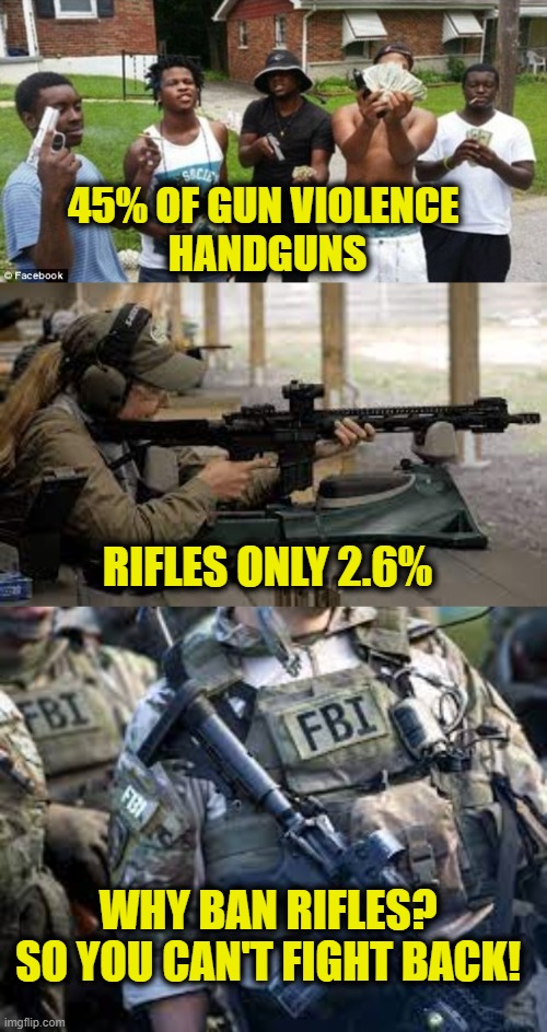 Numbers Don't Lie | 45% OF GUN VIOLENCE 
HANDGUNS; RIFLES ONLY 2.6%; WHY BAN RIFLES?
SO YOU CAN'T FIGHT BACK! | image tagged in guns | made w/ Imgflip meme maker