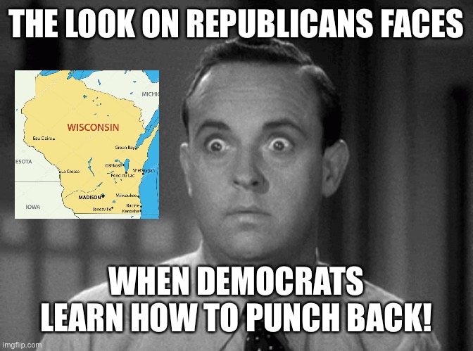 shocked face | THE LOOK ON REPUBLICANS FACES; WHEN DEMOCRATS LEARN HOW TO PUNCH BACK! | image tagged in shocked face | made w/ Imgflip meme maker