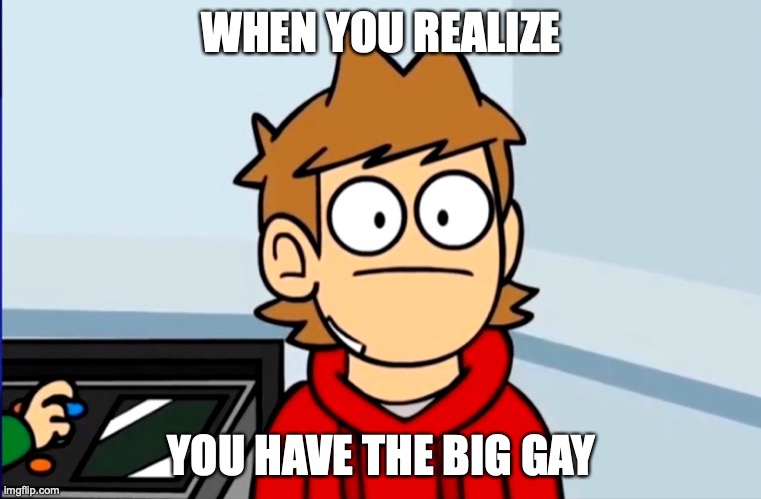 Oof to Tord | WHEN YOU REALIZE; YOU HAVE THE BIG GAY | image tagged in oof to tord | made w/ Imgflip meme maker