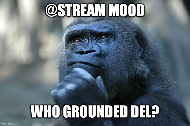 Deep Thoughts | @STREAM MOOD; WHO GROUNDED DEL? | image tagged in deep thoughts | made w/ Imgflip meme maker