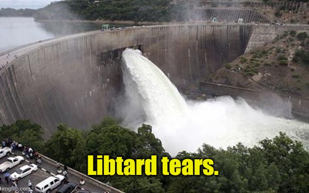 Floodgate | Libtard tears. | image tagged in floodgate | made w/ Imgflip meme maker